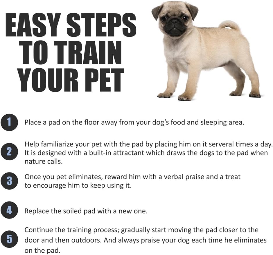 Puppy Pads Leak-Proof 100 Count 22"X 22" - Absorbent Pee Pads for Dogs with 6-Layer Design, Rapid Dry Sheet & Built-In Attractant - Dog Pad with Odor Control, Perfect for Puppies & Senior Dogs