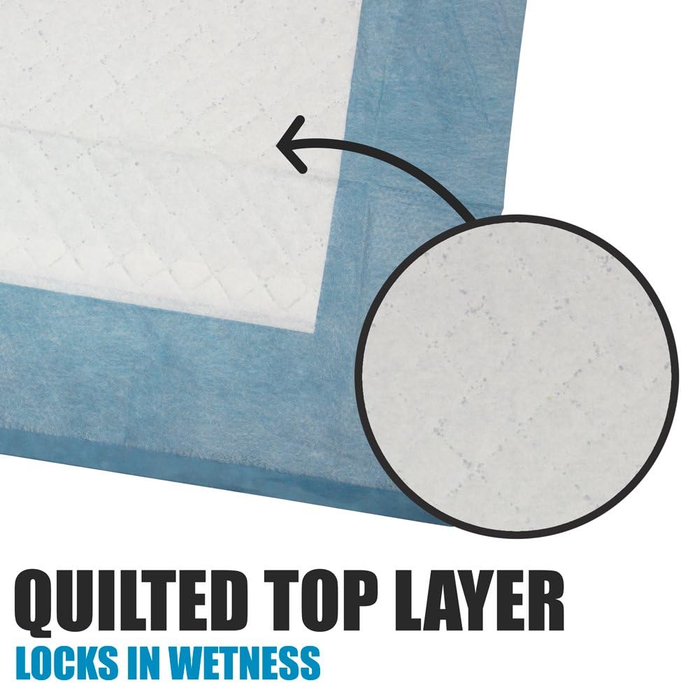 Puppy Pads Leak-Proof 100 Count 22"X 22" - Absorbent Pee Pads for Dogs with 6-Layer Design, Rapid Dry Sheet & Built-In Attractant - Dog Pad with Odor Control, Perfect for Puppies & Senior Dogs