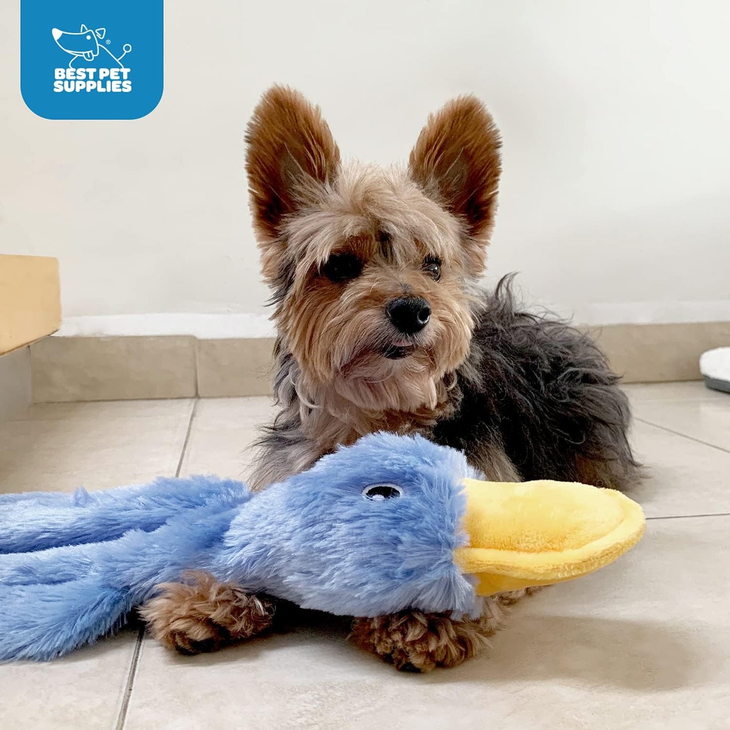 Vibrant Crinkle Duck Squeaky Chew Toy - Perfect for All Dog Sizes & Fetch Fun!