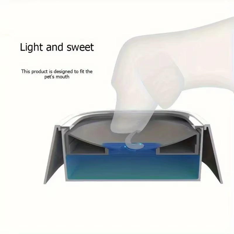 Spill-Proof Plastic Pet Water Bowl with Non-Slip Base & Floating Filter, Clear Design, No Batteries Needed, for Dogs, Travel, Pe